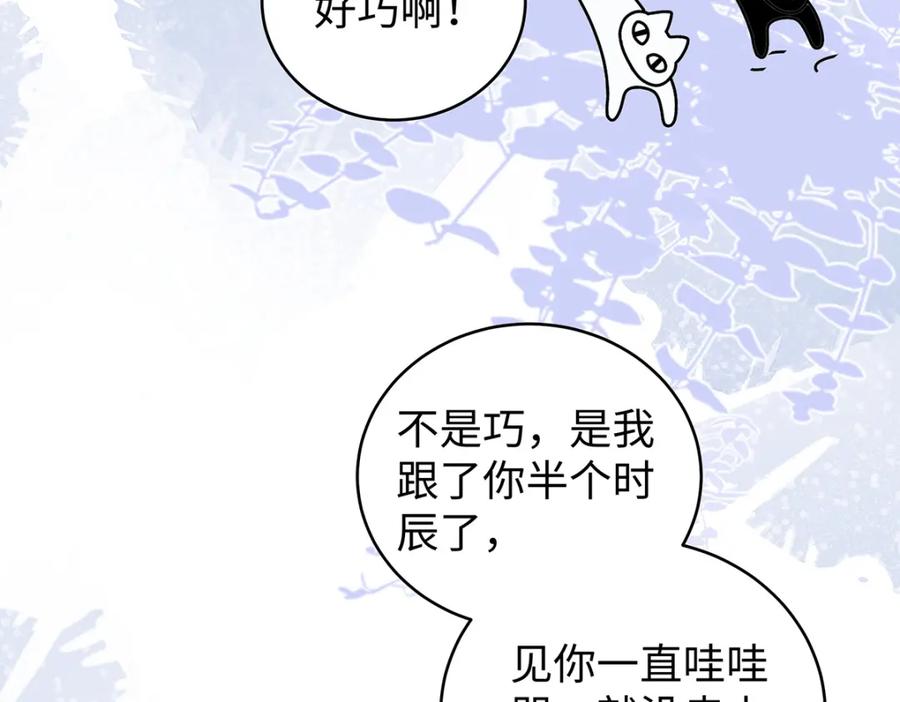 穿到修仙文里组男团儿 030 你选谁 第36页