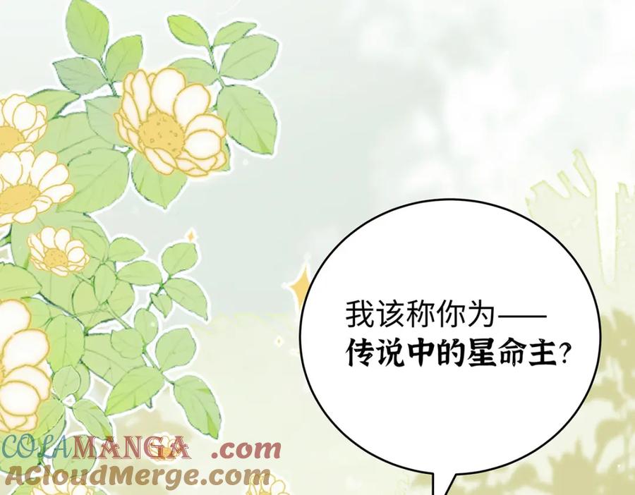 穿到修仙文里组男团儿 046 我赌你会爱上我 第65页