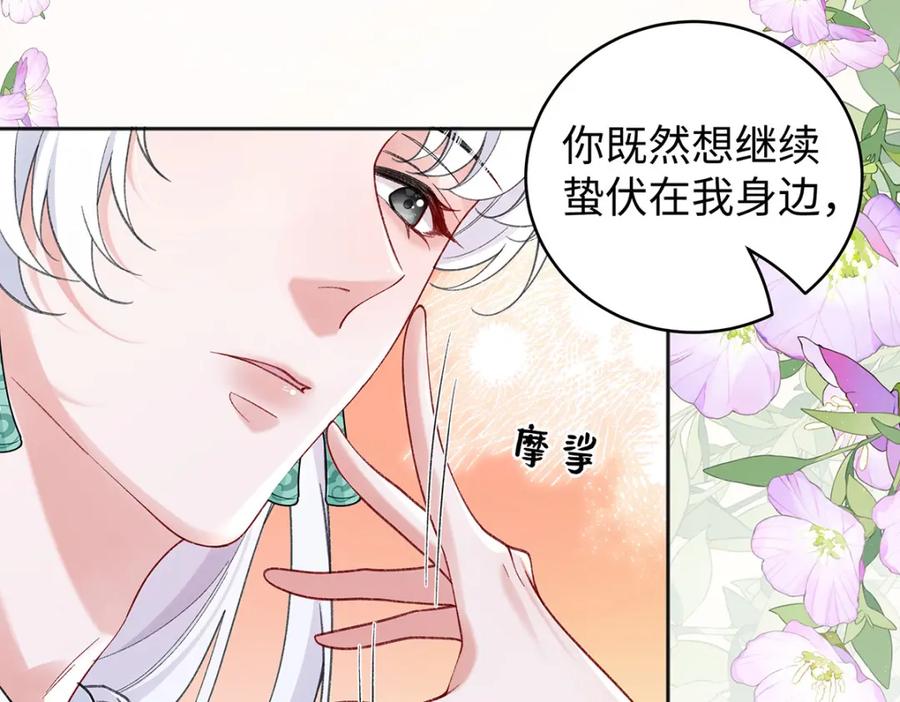 穿到修仙文里组男团儿 046 我赌你会爱上我 第162页