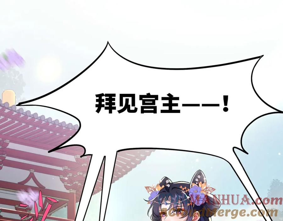 穿到修仙文里组男团儿 003 龙傲天聂归寻 第13页
