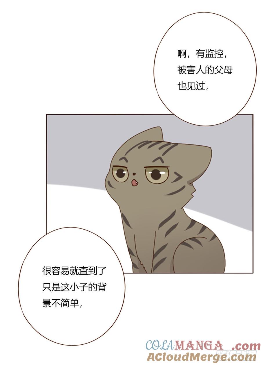 拥然入怀 一八七章 角色互换 第17页