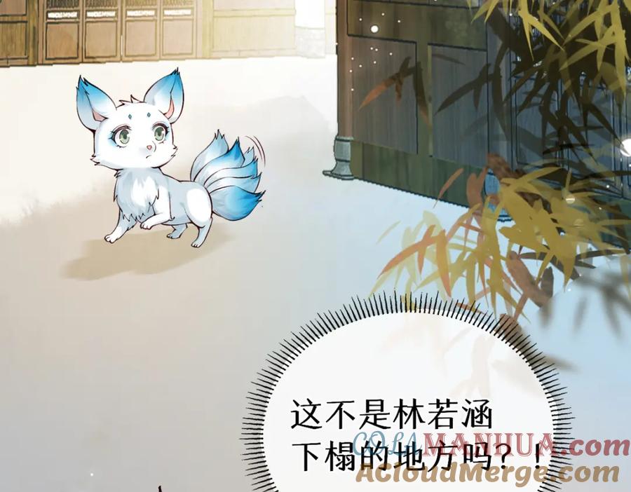 《穿书：逆徒他又想欺师》022变成狐狸 第65页