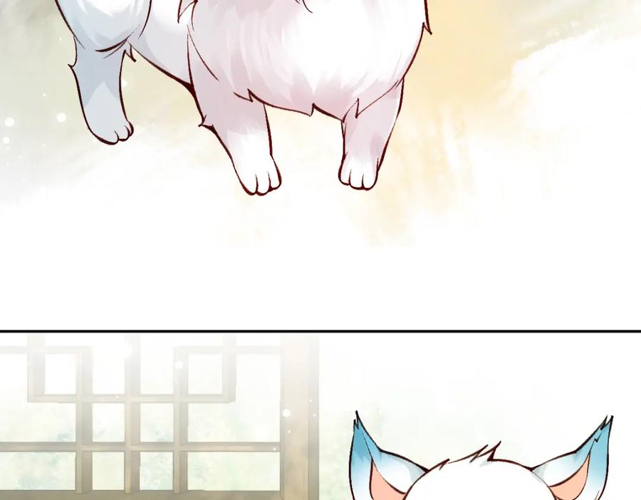《穿书：逆徒他又想欺师》022变成狐狸 第67页