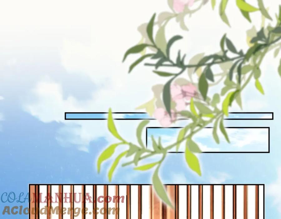 《穿书：逆徒他又想欺师》024 牵线搭桥 第33页