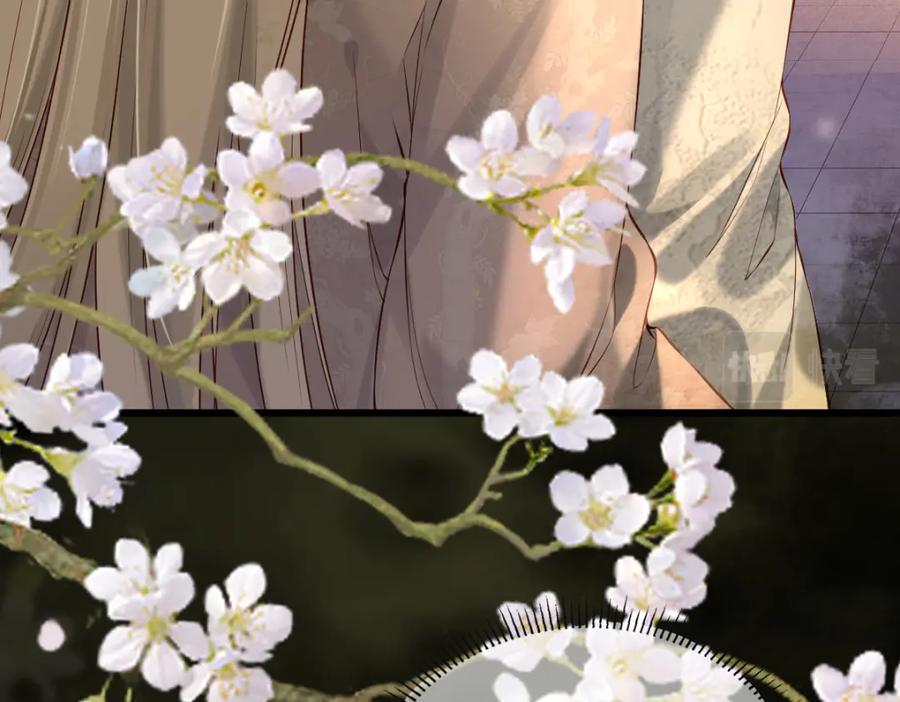 《穿书：逆徒他又想欺师》008话 疯狂找补 第38页