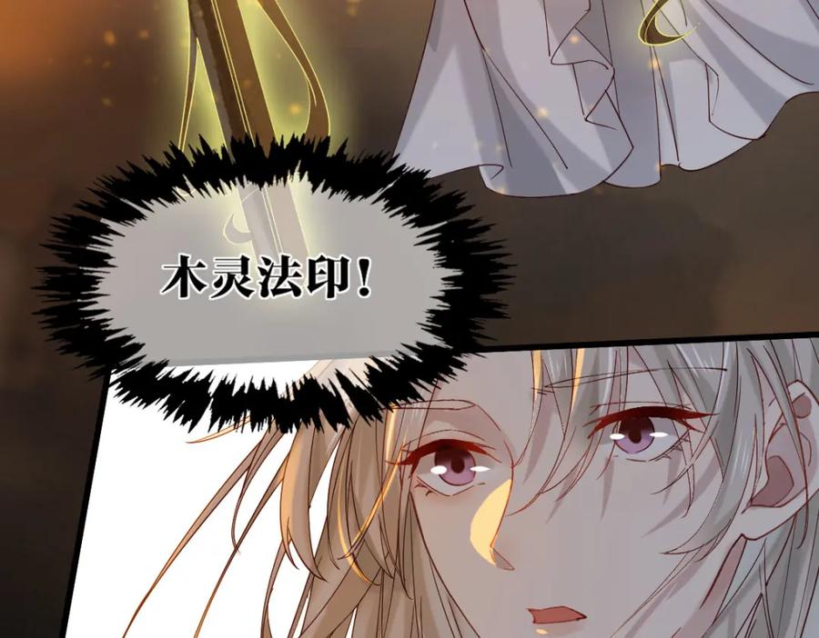《穿书：逆徒他又想欺师》009话 双生元婴 第35页