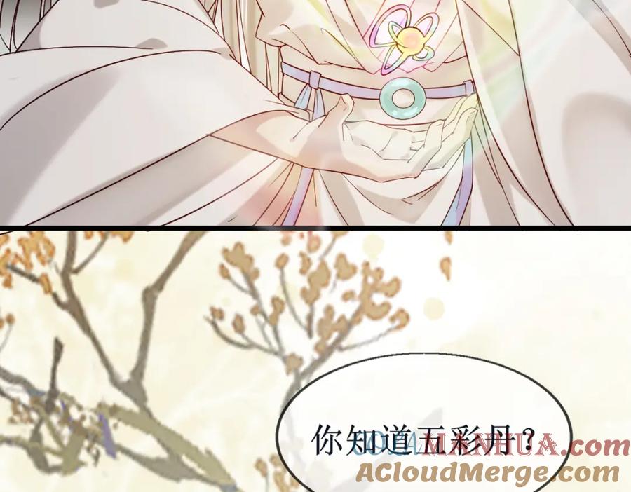 《穿书：逆徒他又想欺师》009话 双生元婴 第93页