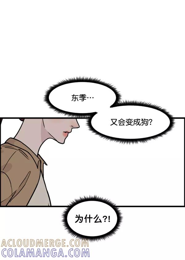 《主人，是我！》[第47话] 我来抓住你 第117页