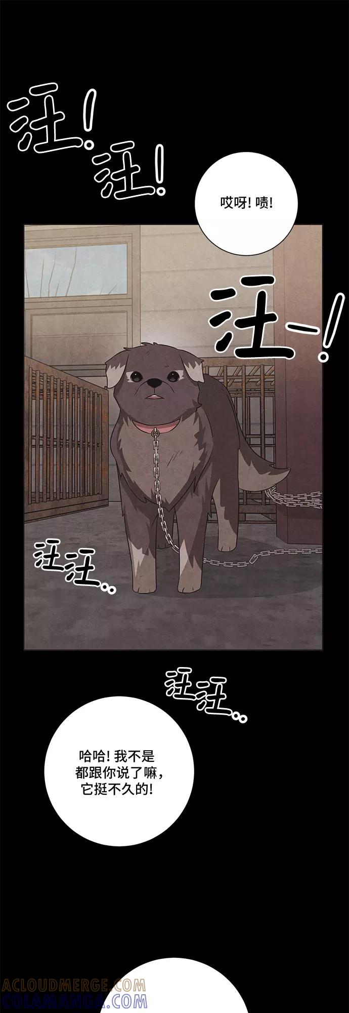 《今天也汪汪》第67话 第13页