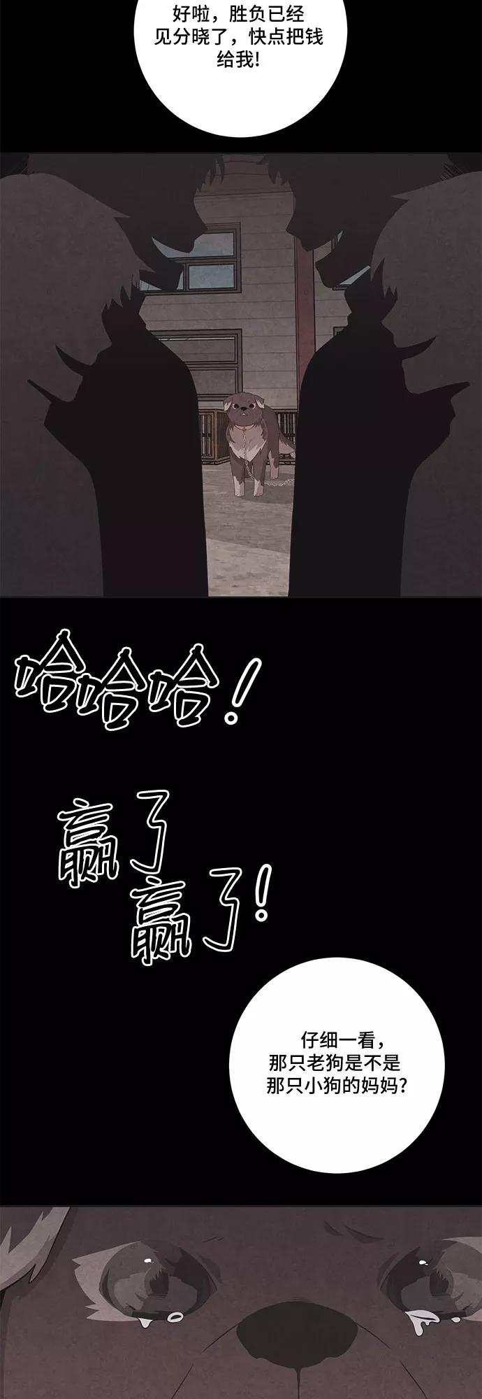 《今天也汪汪》第67话 第14页