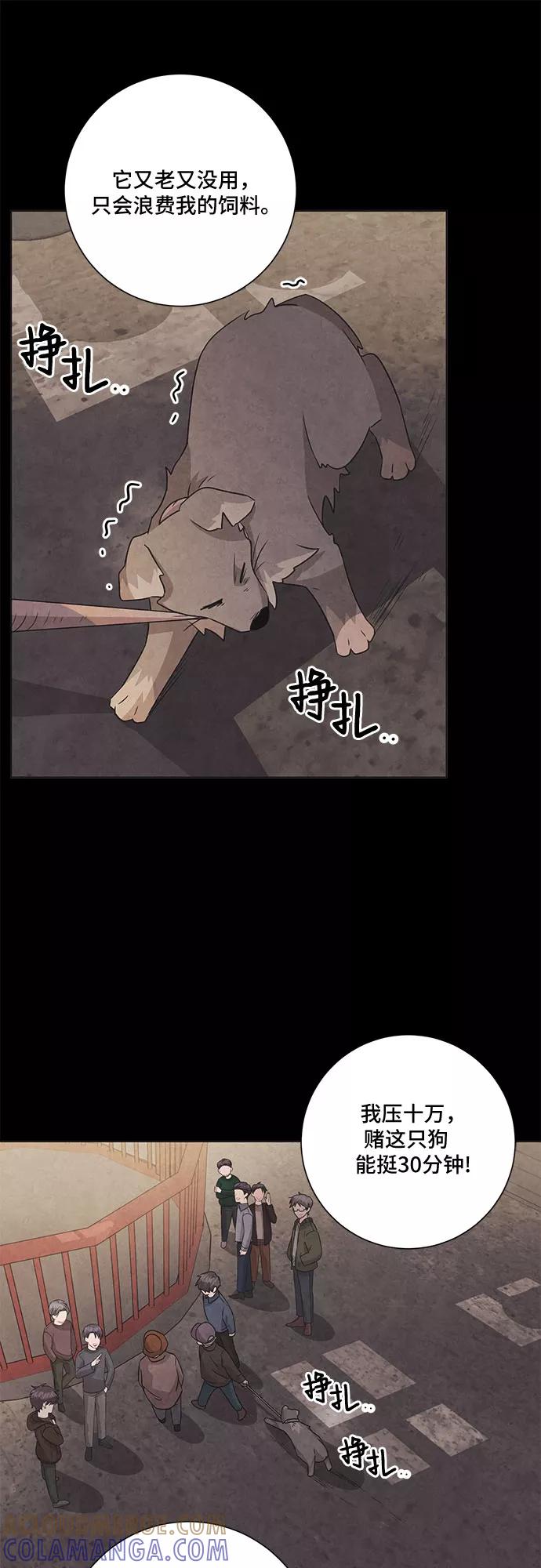 《今天也汪汪》第67话 第7页