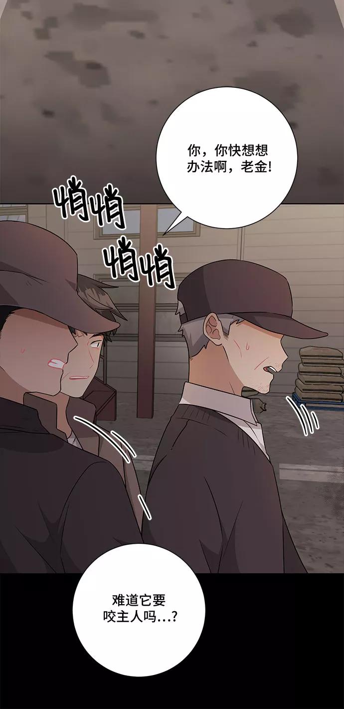 《今天也汪汪》第67话 第3页