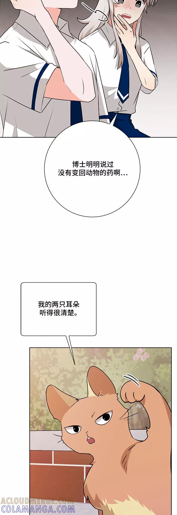 《今天也汪汪》第68话 第46页