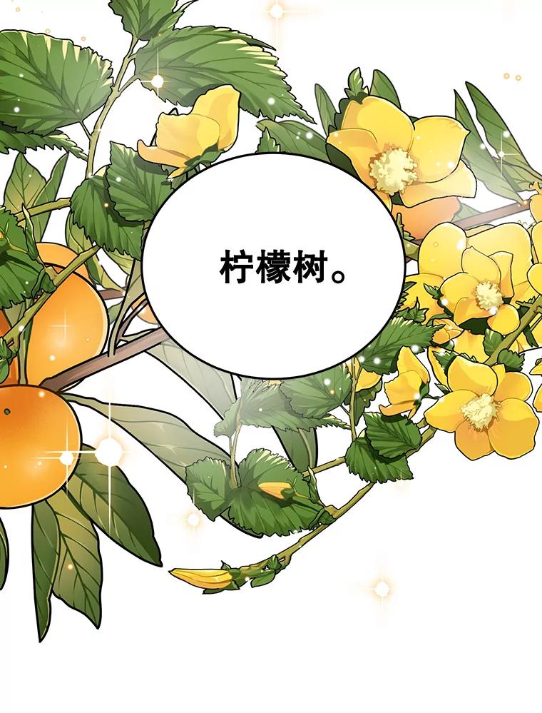 离婚后恶女专注烤蛋糕 - 10.柠檬树 - 第66张图