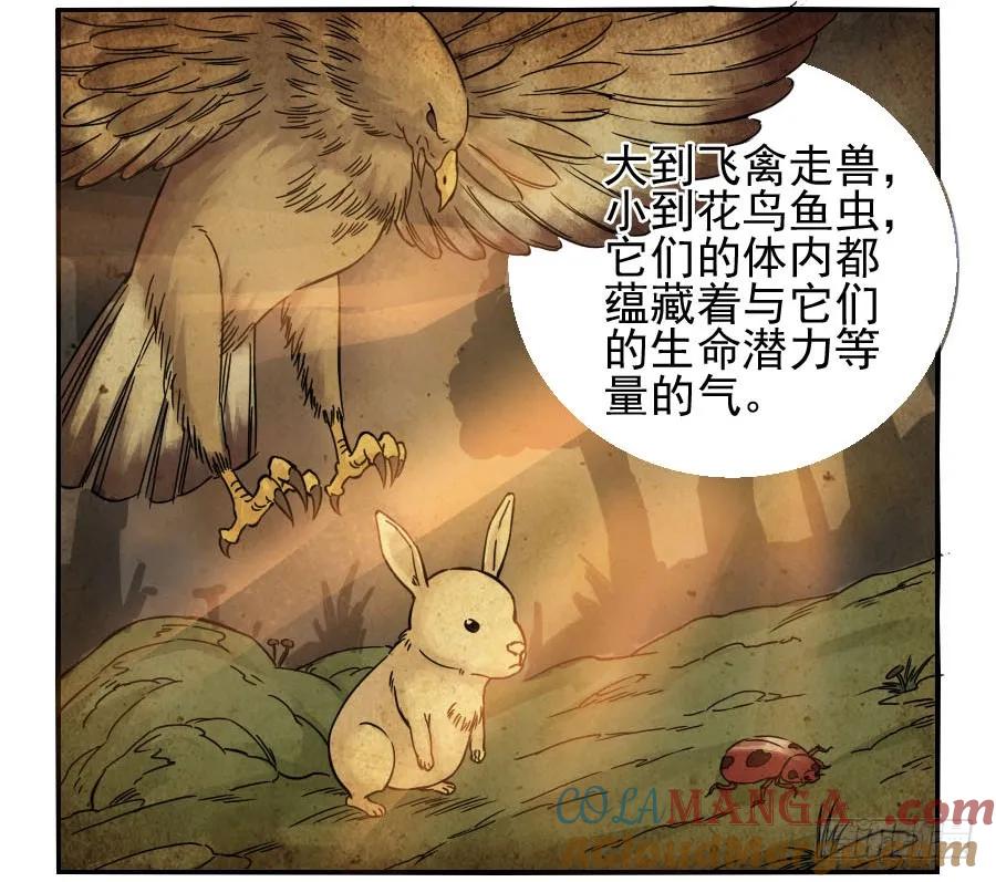 传武 第39话 第三十九条：内视 第13页