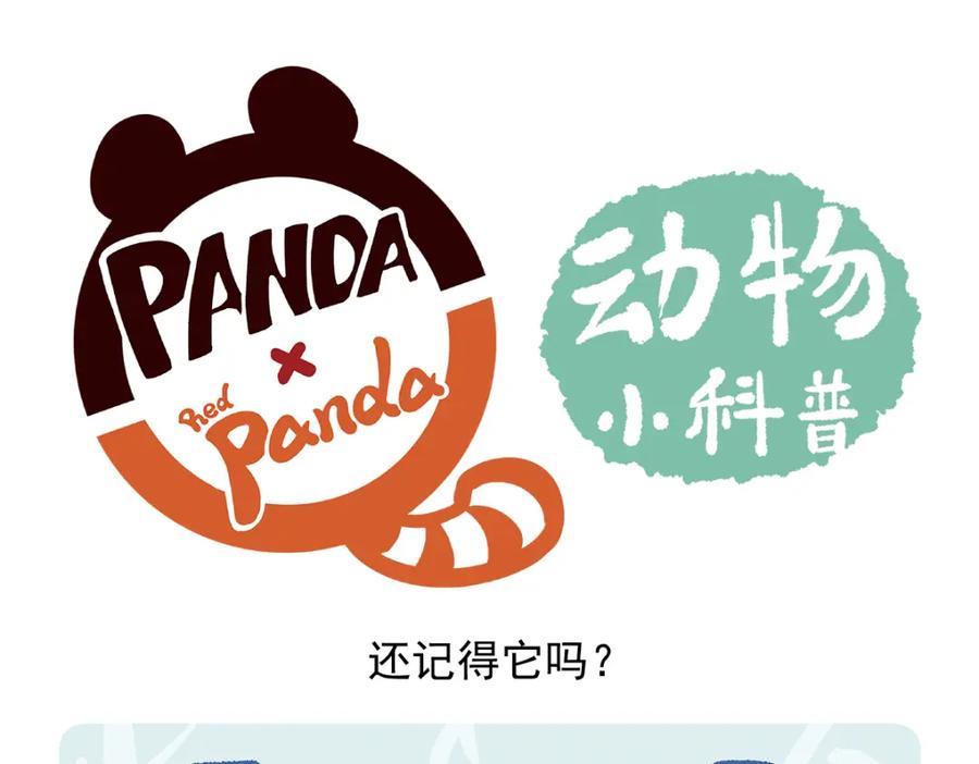 《胖达x胖达》第93话 第20页