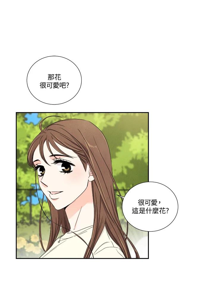 《纵然心痛》第38话 第41页