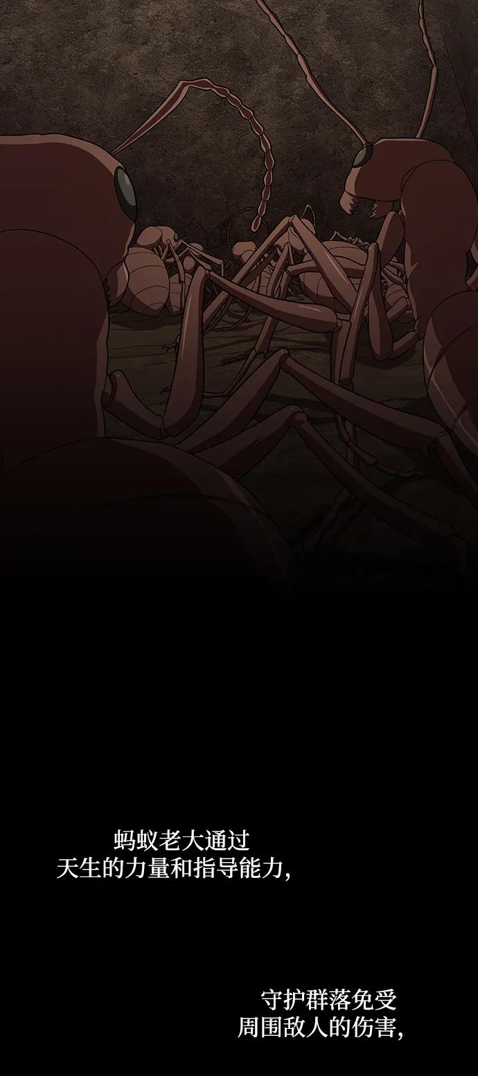 《被塔诅咒的猎人》第210话 第43页