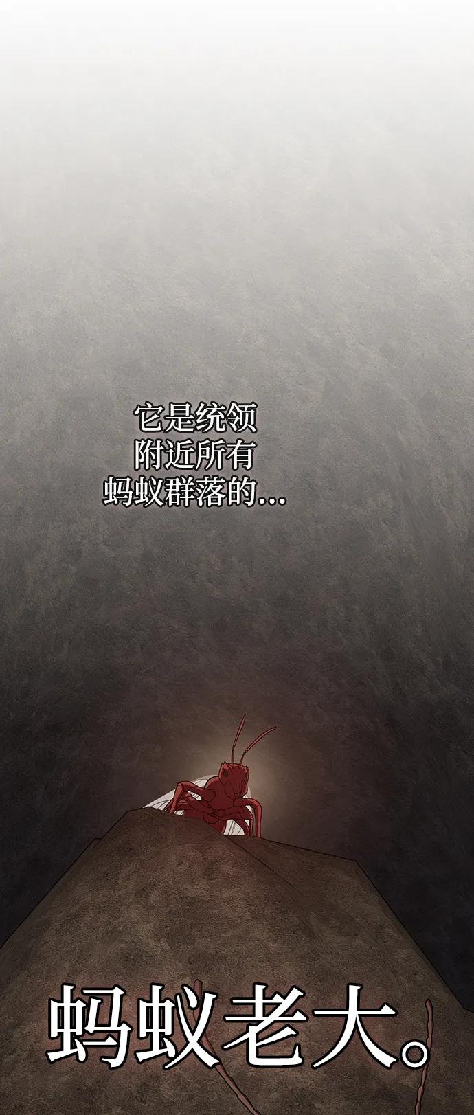 《被塔诅咒的猎人》第210话 第42页