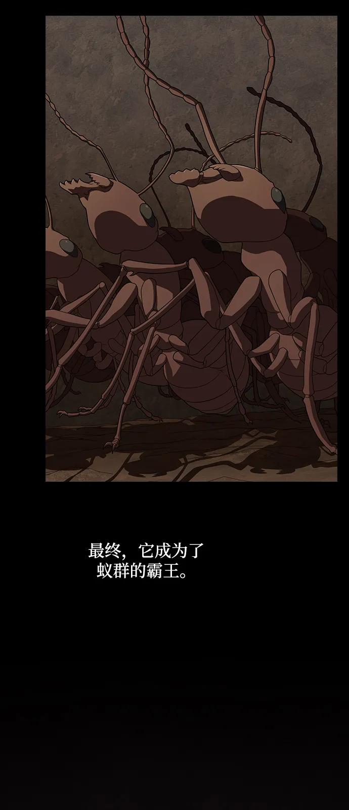 《被塔诅咒的猎人》第210话 第44页