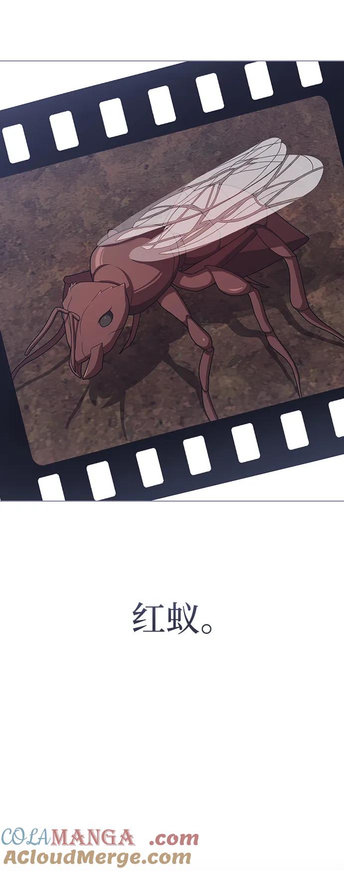 《被塔诅咒的猎人》第210话 第41页