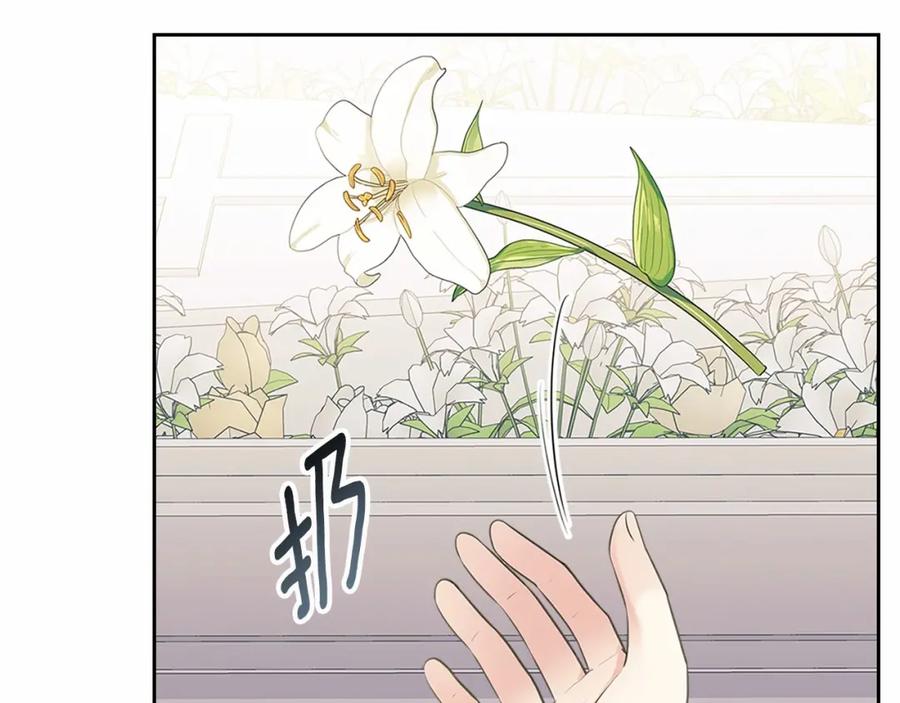 穿越成公爵家的女仆 第100话 补偿 第27页