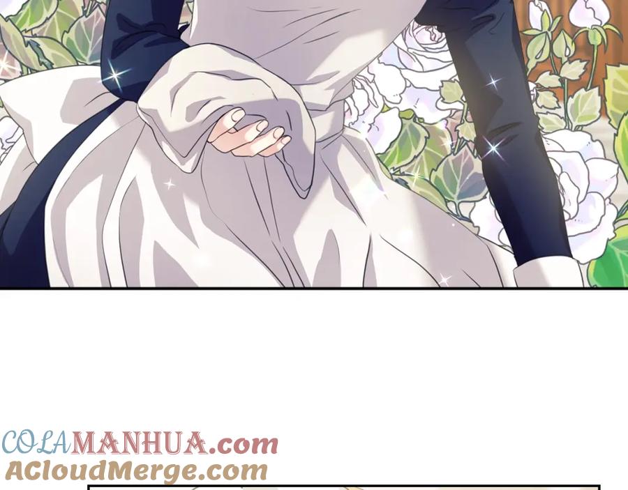 穿越成公爵家的女仆 第44话 家主大人的另一半 第165页