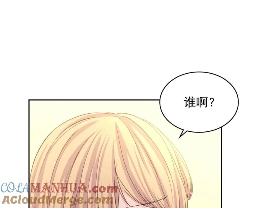 穿越成公爵家的女仆 第44话 家主大人的另一半 第117页