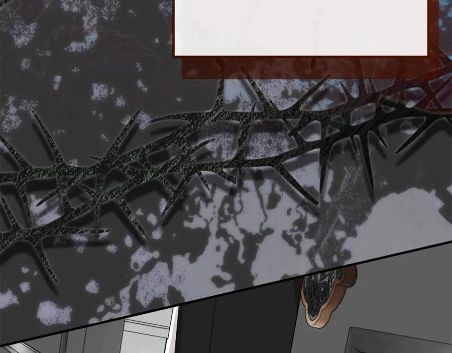 穿越成怪物太子的夫人 第27话 阻止婚礼！ 第242页