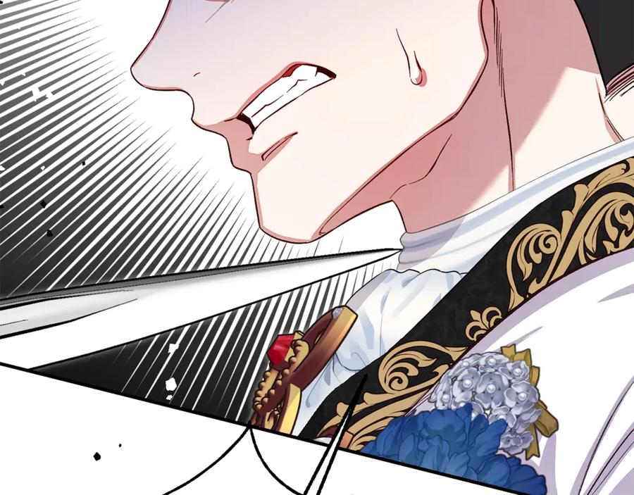 穿越成怪物太子的夫人 第27话 阻止婚礼！ 第246页