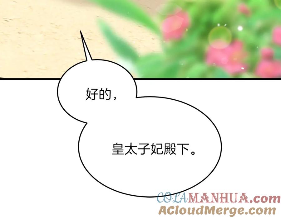 穿越成怪物太子的夫人 第27话 秘密武器 第9页