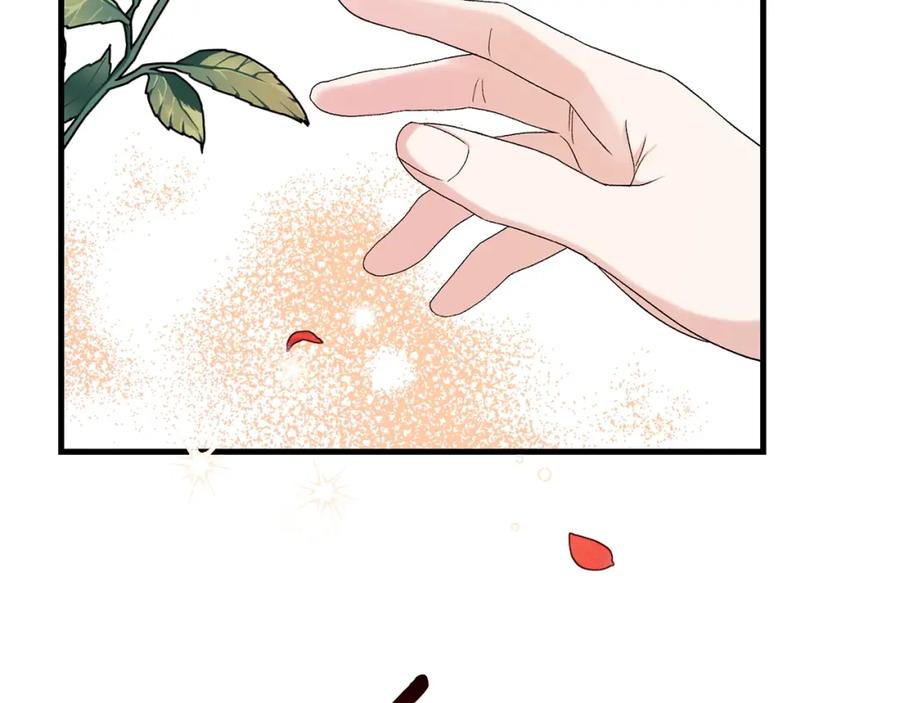 穿越成怪物太子的夫人 第33话 玫瑰 第126页