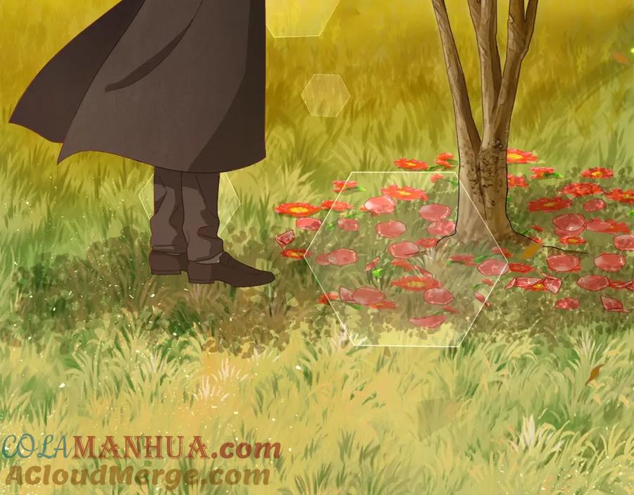 穿越成怪物太子的夫人 第37话 惨剧之源 第153页