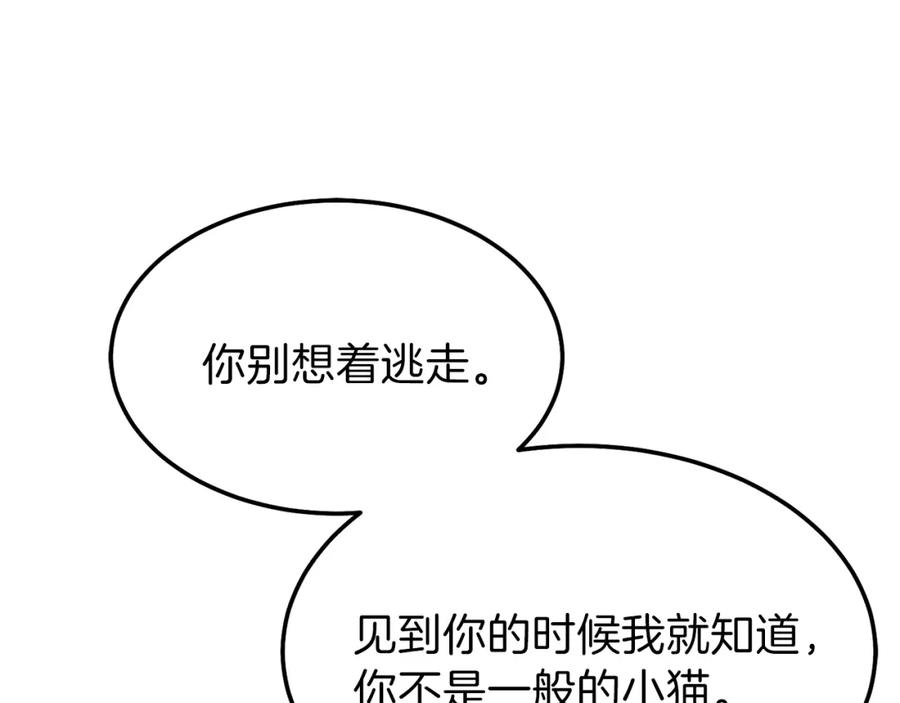 穿越成怪物太子的夫人 第一季完结篇 猫猫惊恐 第14页