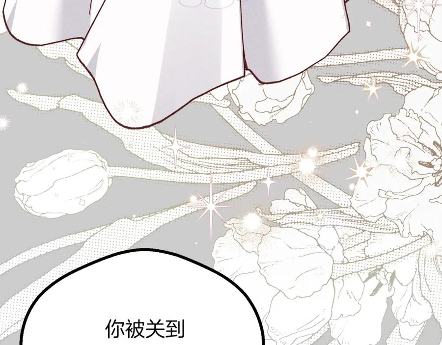 穿越成怪物太子的夫人 第27话 寻光 第111页