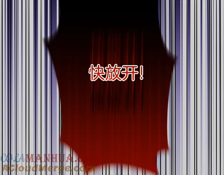穿越成怪物太子的夫人 第27话 寻光 第29页