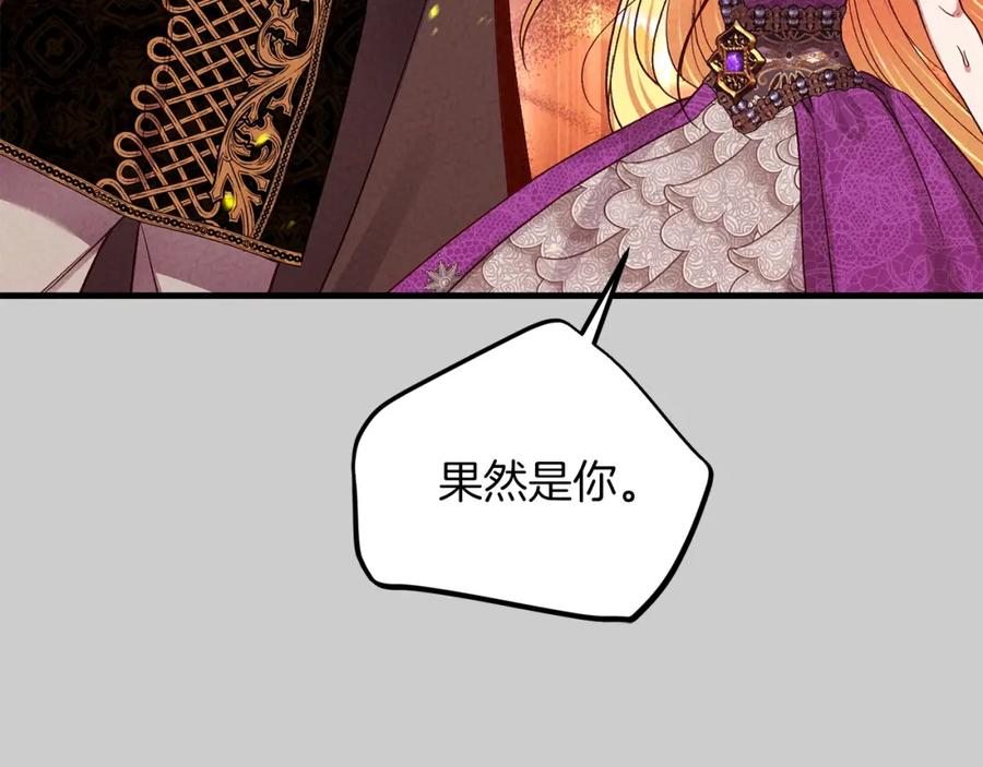 穿越成怪物太子的夫人 第27话 寻光 第195页