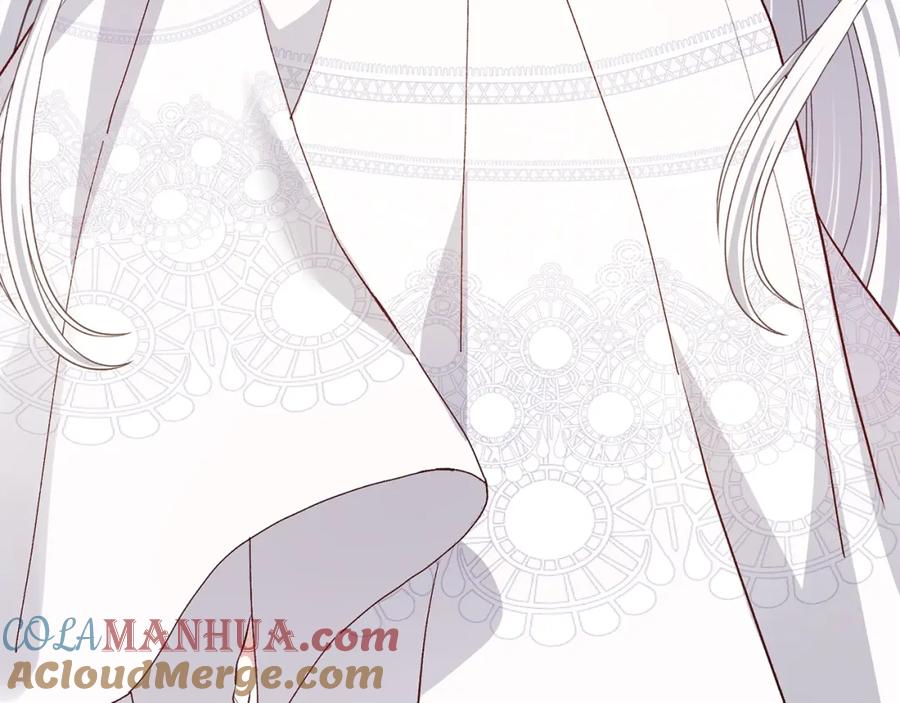 穿越成怪物太子的夫人 第27话 寻光 第145页