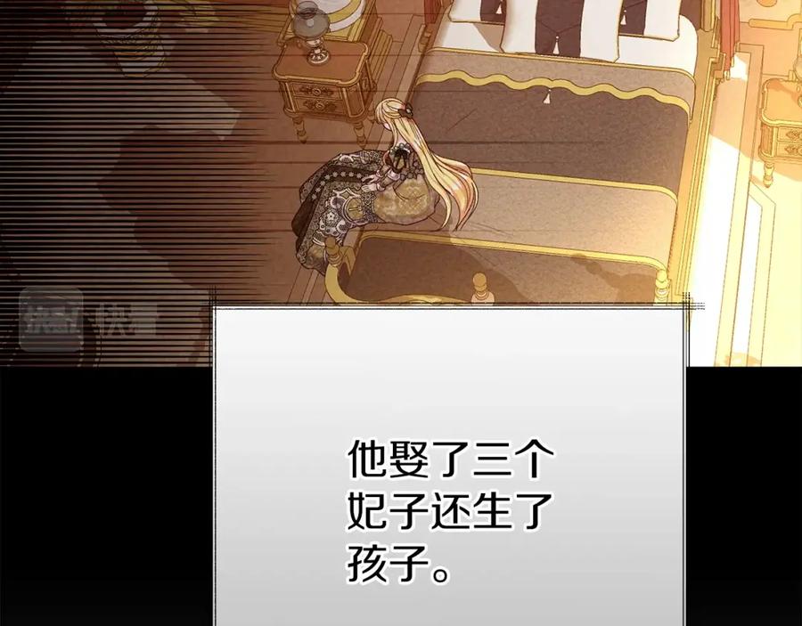 穿越成怪物太子的夫人 第27话 寻光 第48页