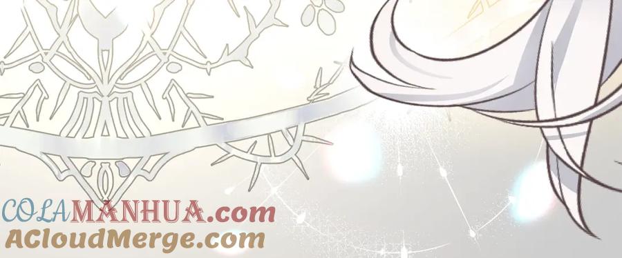 穿越成怪物太子的夫人 第27话 寻光 第141页