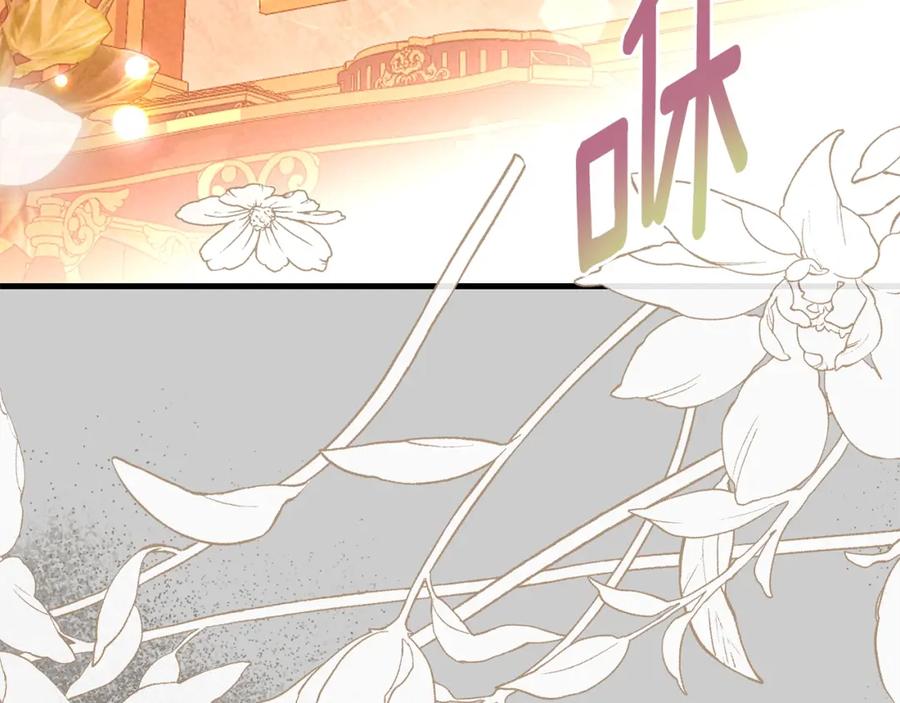 穿越成怪物太子的夫人 第27话 寻光 第154页