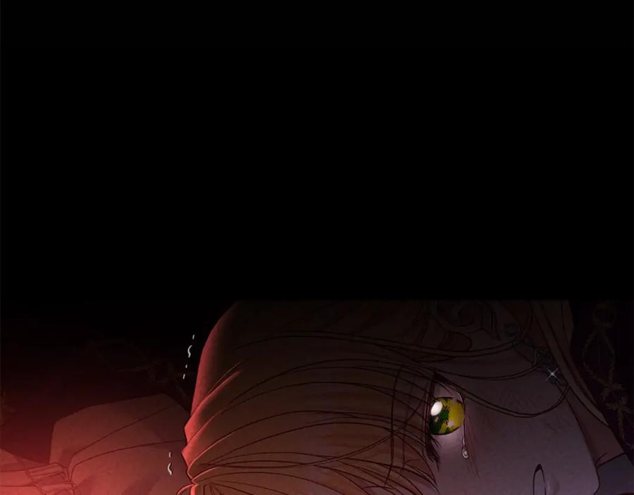 穿越成怪物太子的夫人 第30话 女神的求救 第212页
