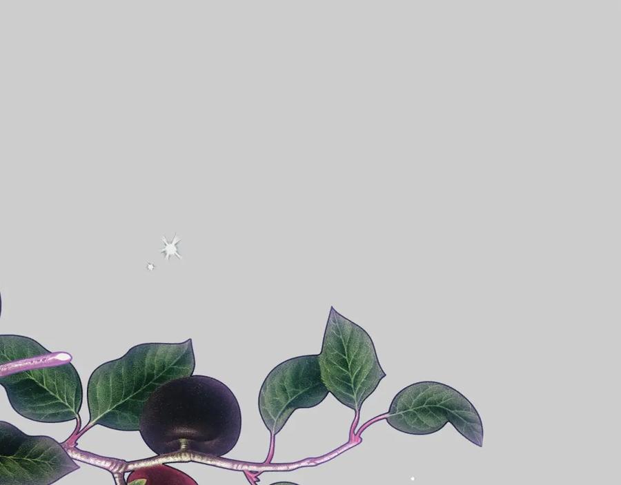 穿越成怪物太子的夫人 第31话 真相沉没 第83页