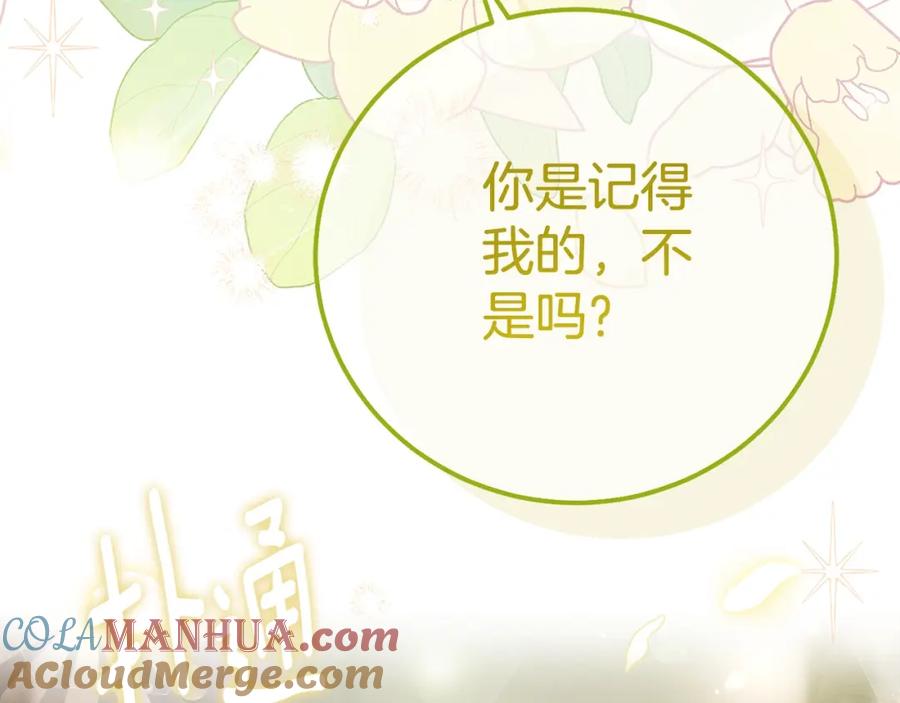 穿越成怪物太子的夫人 第34话 代价 第205页