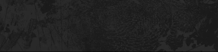 穿越成怪物太子的夫人 第10话 安诗雅，不要走 第75页
