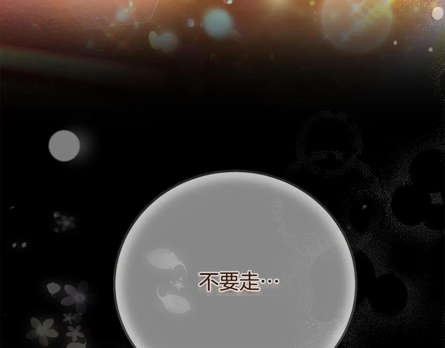 穿越成怪物太子的夫人 第10话 安诗雅，不要走 第236页