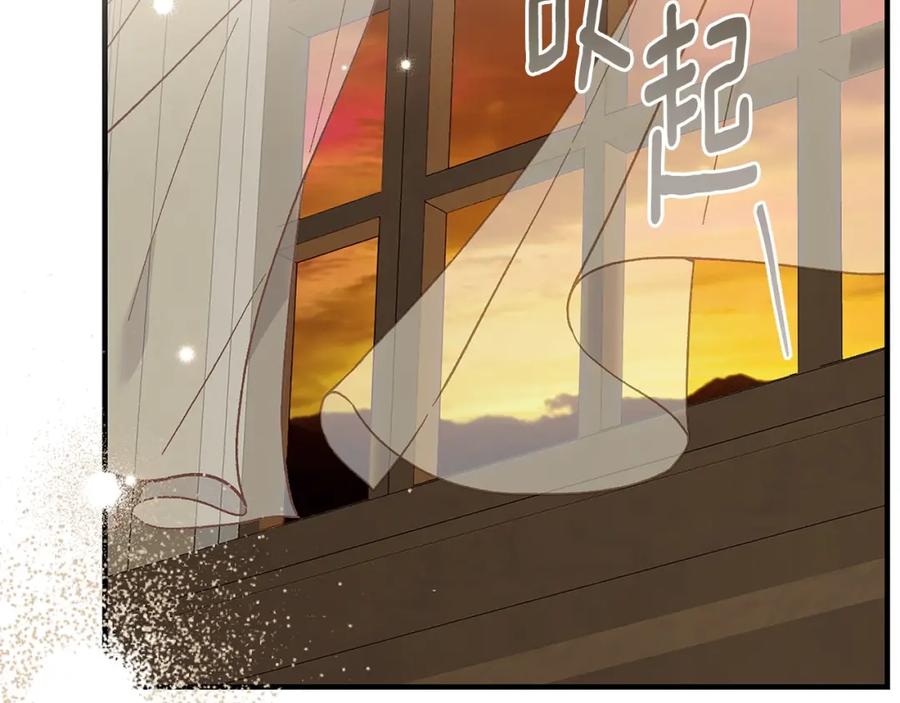 穿越成怪物太子的夫人 第10话 安诗雅，不要走 第11页