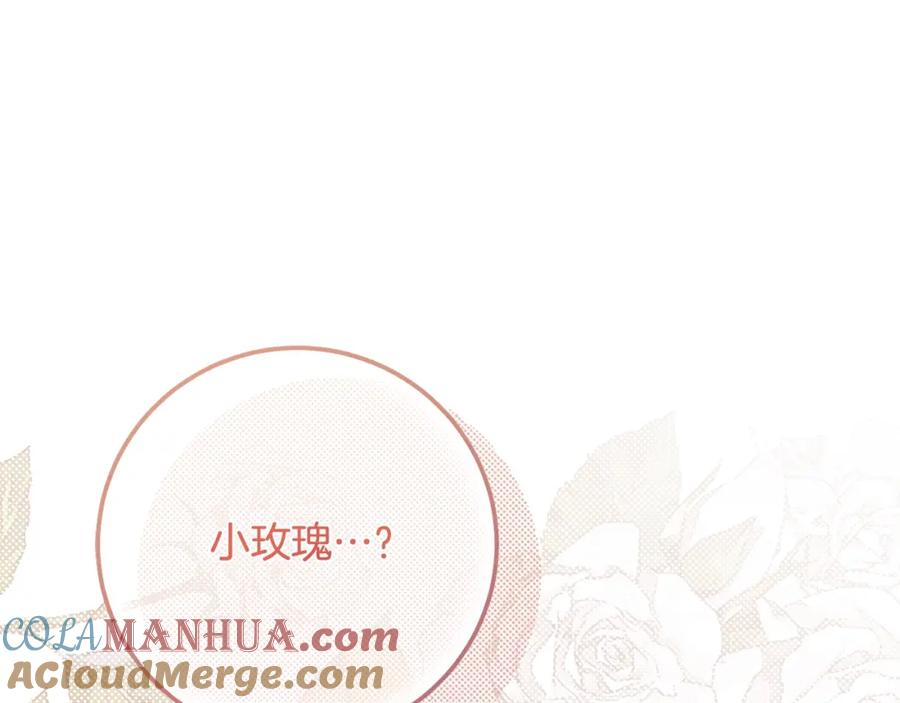 穿越成怪物太子的夫人 第10话 安诗雅，不要走 第5页