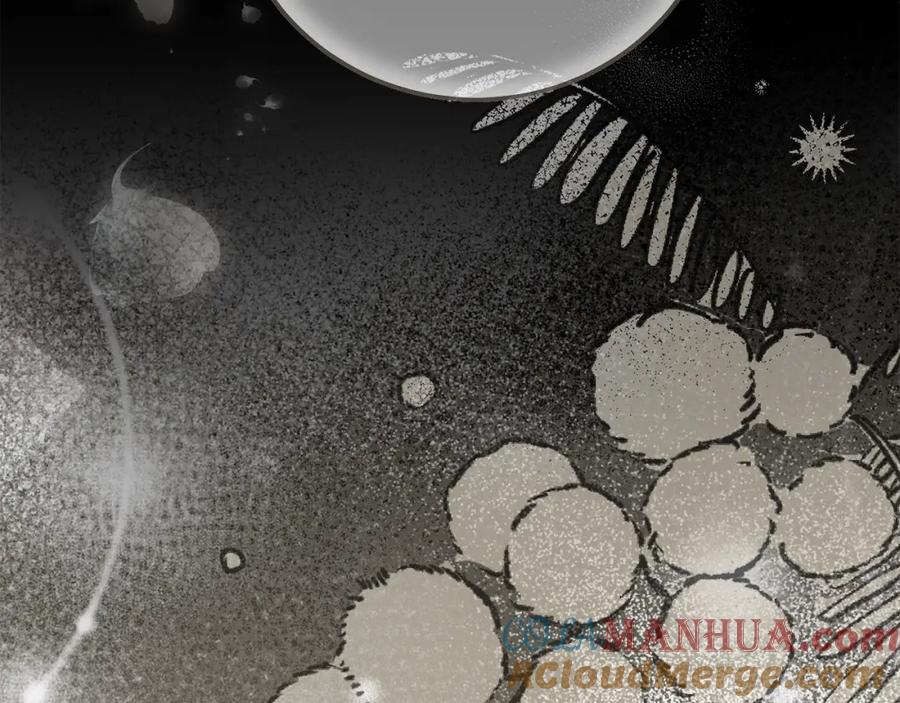 穿越成怪物太子的夫人 第10话 安诗雅，不要走 第237页