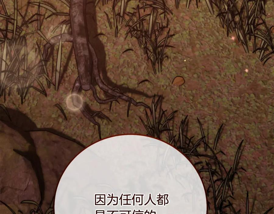 穿越成怪物太子的夫人 第12话 安诗雅，对不起 第247页